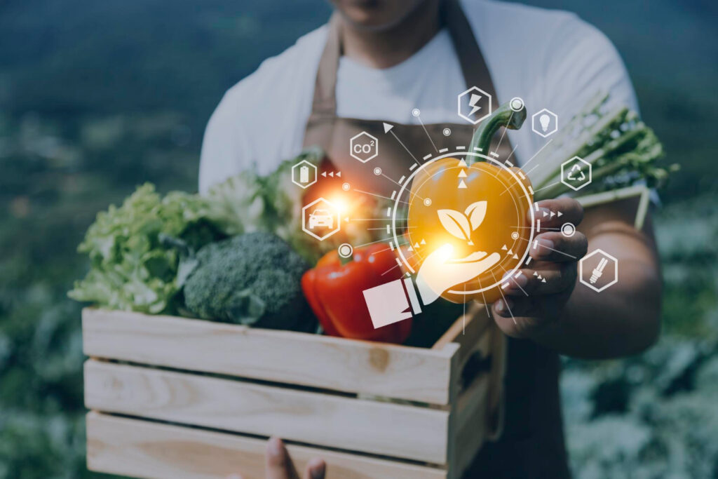 plano de marketing agrícola para empresas do ramo do agronegócio